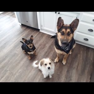 Meet your Posher, Mary